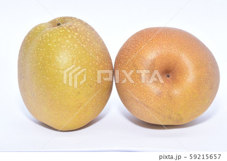 梨・王秋 梨・王秋 59215657