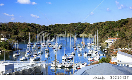 油壺湾（秋） 59216437