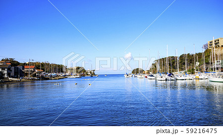 諸磯湾（秋） 59216475