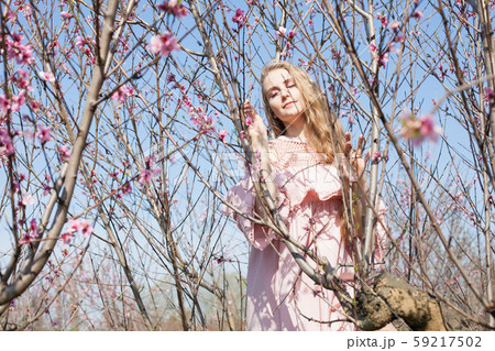 happy blonde woman in pink dress walks through the flowering garden in spring happy blonde woman in pink dress walks through the flowering garden in spring 59217502