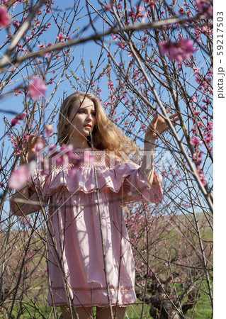 happy blonde woman in pink dress walks through the flowering garden in spring happy blonde woman in pink dress walks through the flowering garden in spring 59217503