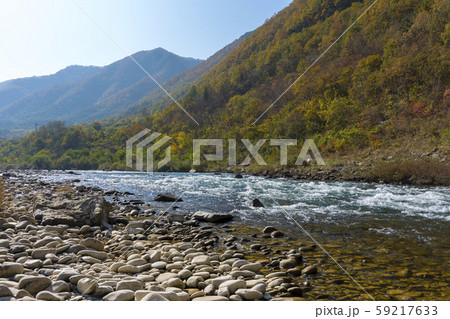 自然 風景 韓国 59217633