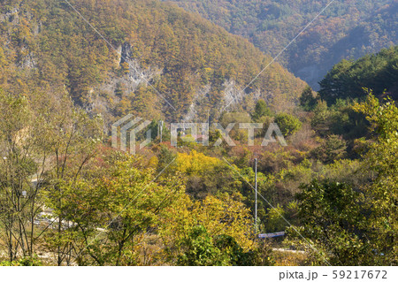 自然 風景 韓国 59217672