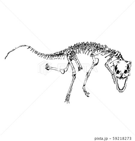 恐竜の骨 Dinosaur Boneのイラスト素材