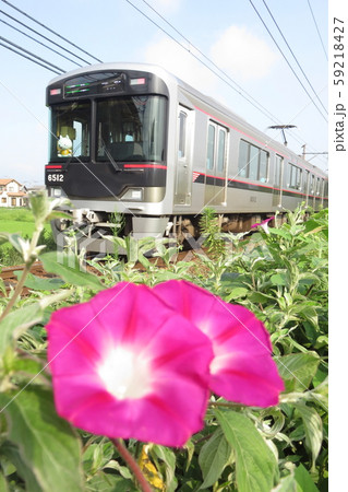 神戸電鉄6500系 神戸電鉄6500系 59218427