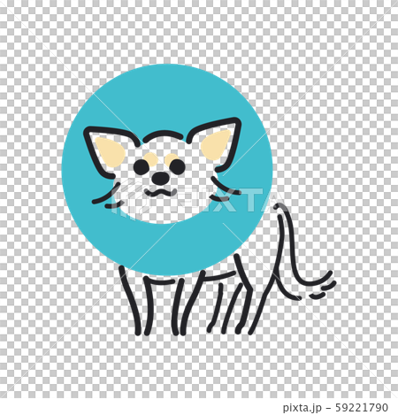 Dog pose facial expression 1 Elizabeth Chihuahua 59221790