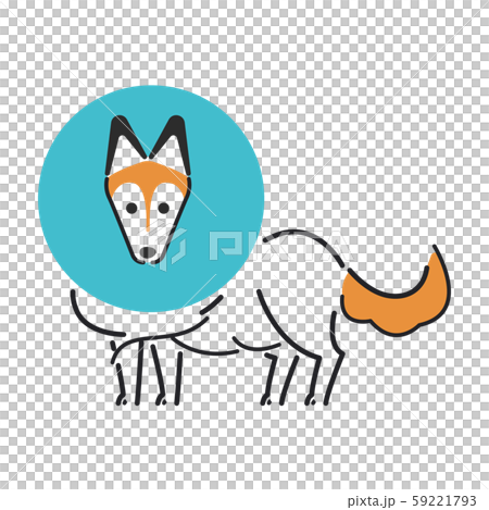 狗姿勢的面部表情1伊麗莎白·設得蘭群島牧羊犬 59221793