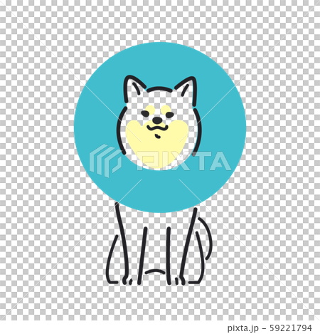 Dog pose facial expression 1 Elizabeth Shiba Inu 59221794