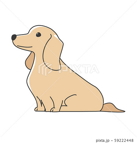 犬 ポーズ 表情 １匹 ミニチュアダックスフンド おすわりのイラスト