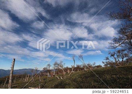 大台ケ原の秋 59224651