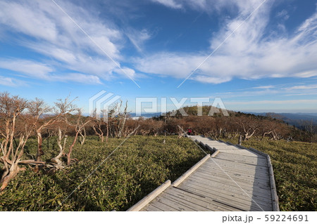 大台ケ原の秋 大台ケ原の秋 59224691
