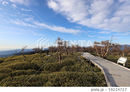 大台ケ原の秋 59224727