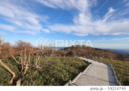 大台ケ原の秋 大台ケ原の秋 59224740