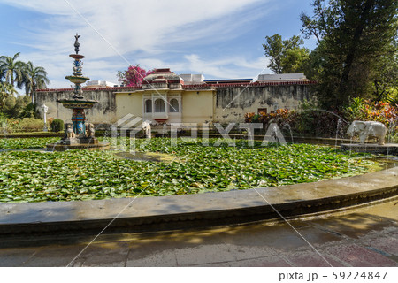 Lotus pool and marble elephants in Saheliyon ki Lotus pool and marble elephants in Saheliyon ki 59224847