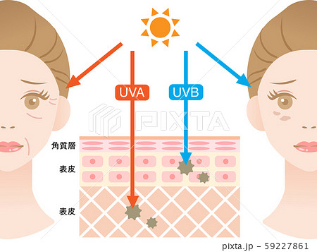 紫外線 UVA UVB 紫外線 UVA UVB 59227861
