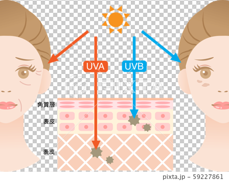 紫外線 UVA UVB 紫外線 UVA UVB 59227861