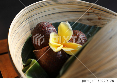 フランジパニとサラック フランジパニとサラック 59229170