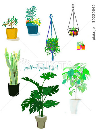 観葉植物 植物 ハンギング 室内 植木 花 葉 セットのイラスト素材