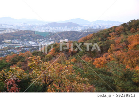 松 岩山 ボヒョンボン 59229813