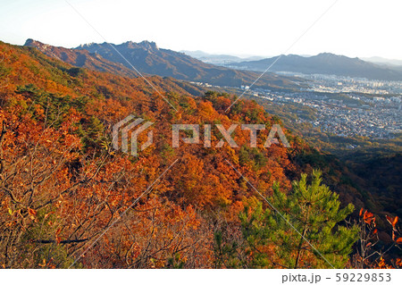 松 岩山 ボヒョンボン 59229853