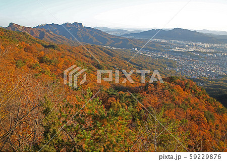 松 岩山 ボヒョンボン 59229876