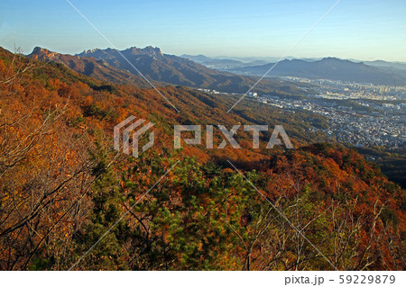 松 岩山 ボヒョンボン 59229879