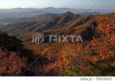 松 岩山 ボヒョンボン 59229922