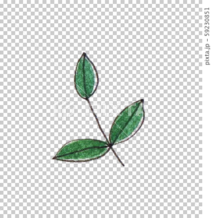 緑の葉っぱ アイコン パーツ 緑の葉っぱ アイコン パーツ 59230851