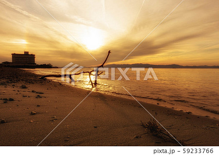 琵琶湖の浜の夕景と流木のシルエット 琵琶湖の浜の夕景と流木のシルエット 59233766