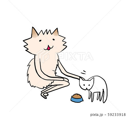 １匹の白猫にネコ餌を食べさせるポメラニアンさん 59233918