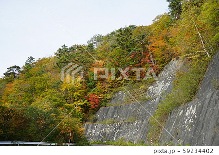 早坂峠の秋 早坂峠の秋 59234402