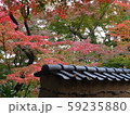 紅葉 59235880