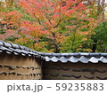 紅葉 59235883