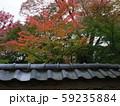 紅葉 59235884