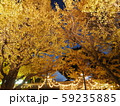 紅葉 59235885