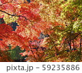 香嵐渓 59235886
