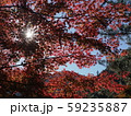 香嵐渓 59235887
