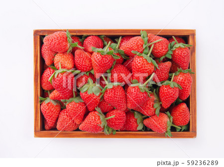 イチゴ いちご 苺 59236289