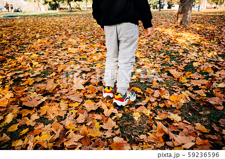 One child stands on fallen orange and red maple leaves in the park One child stands on fallen orange and red maple leaves in the park 59236596