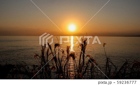 夕日とすすき 59236777