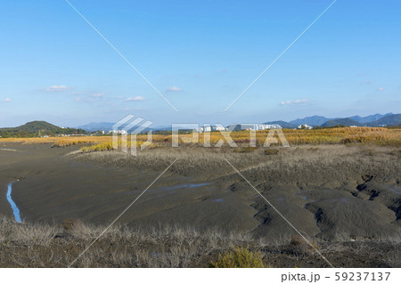 自然 風景 韓国 59237137