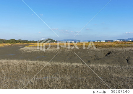 自然 風景 韓国 59237140