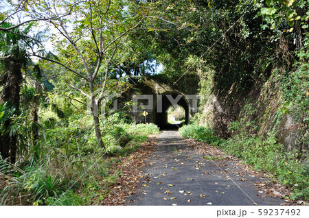 五新線跡 五新線跡 59237492