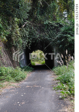 五新線跡 五新線跡 59237494