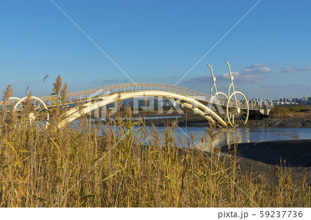 自然 風景 韓国 59237736