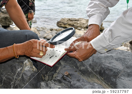 Archaeologists are using tools to explore fossils  59237797
