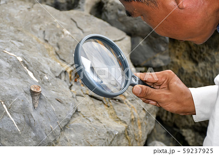 Archaeologists are using tools to explore fossils  59237925