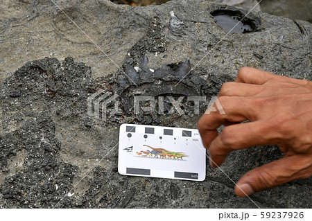Archaeologists are using tools to explore fossils  59237926