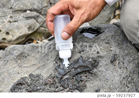 Archaeologists are using tools to explore fossils  59237927