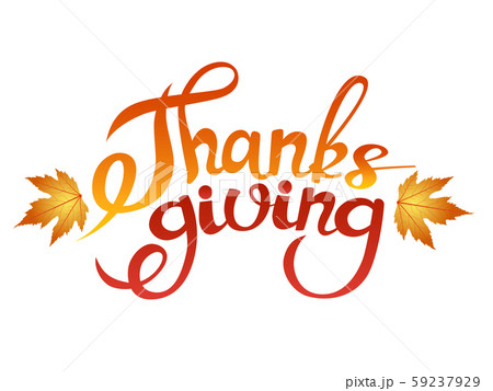 Happy thanksgiving brush hand lettering, isolated on white background. 59237929